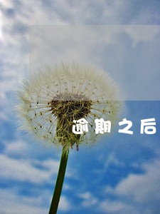 逾期之后还完钱多久能继续借钱