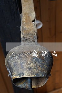逾期之后还款了说叫还全款 逾期之后还款了说叫还全款