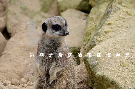 逾期之后还清了征信会怎么样