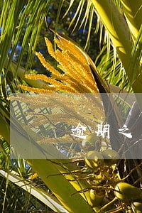 逾期之后还清还能用吗 逾期之后还清还能用吗