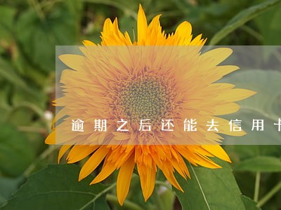 逾期之后还能去信用卡公司吗
