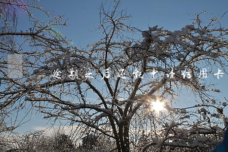 逾期之后还能申请信用卡吗 逾期之后还能申请信用卡吗