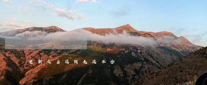 逾期之后还钱先还本金