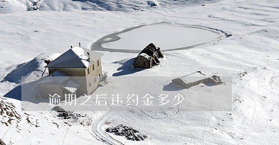 逾期之后违约金多少