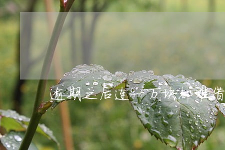 逾期之后连一万块都难借 逾期之后连一万块都难借