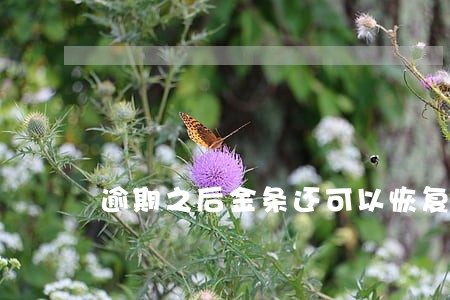 逾期之后金条还可以恢复不