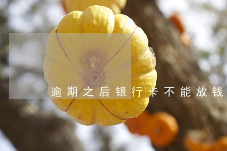 逾期之后银行卡不能放钱 逾期之后银行卡不能放钱