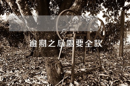 逾期之后需要全款 逾期之后需要全款