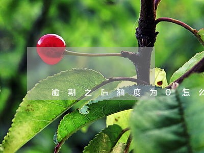 逾期之后额度为0怎么办