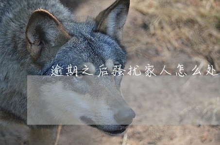 逾期之后骚扰家人怎么处理