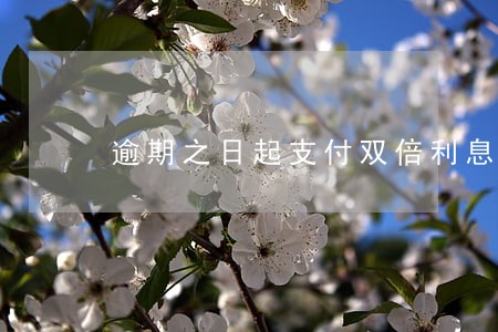逾期之日起支付双倍利息 逾期之日起支付双倍利息