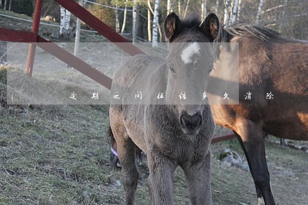逾期之间征信多久消除 逾期之间征信多久消除