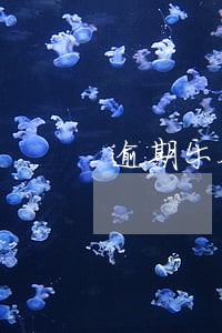逾期乐合法吗 逾期乐合法吗