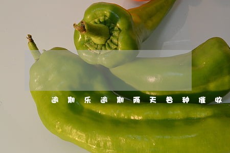 逾期乐逾期两天各种催收电话 逾期乐逾期两天各种催收电话