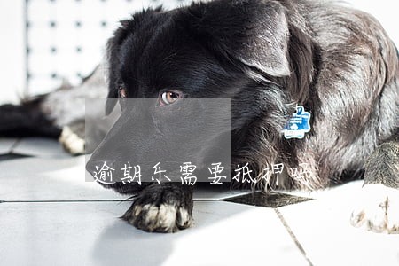 逾期乐需要抵押吗 逾期乐需要抵押吗
