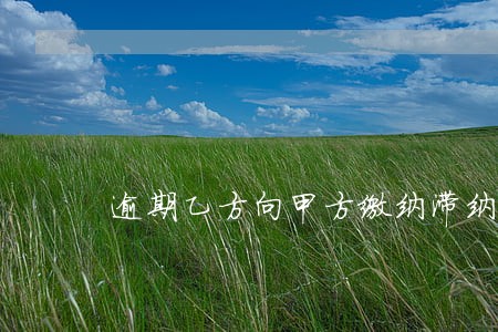 逾期乙方向甲方缴纳滞纳金 逾期乙方向甲方缴纳滞纳金
