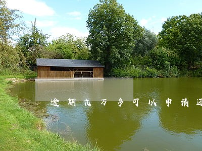 逾期九万多可以申请还一半吗 逾期九万多可以申请还一半吗