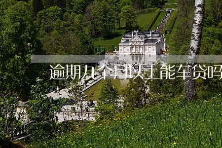 逾期九个月以上能车贷吗 逾期九个月以上能车贷吗