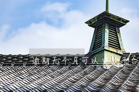 逾期九个月可以贷款平台 逾期九个月可以贷款平台