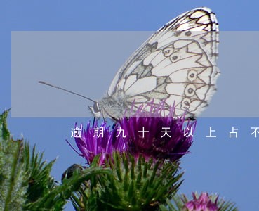 逾期九十天以上占不良 逾期九十天以上占不良