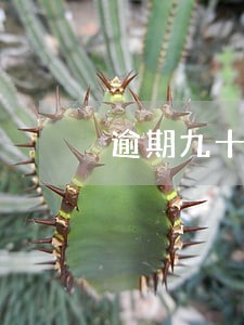 逾期九十天停卡了怎么办 逾期九十天停卡了怎么办