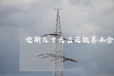 逾期九十天后还款算本金 逾期九十天后还款算本金