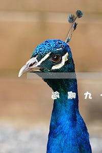 逾期九十天怎么计算的 逾期九十天怎么计算的