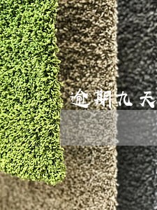 逾期九天会请律师处理吗 逾期九天会请律师处理吗