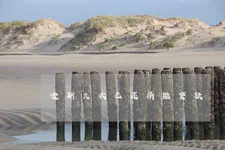 逾期九次已还清能贷款 逾期九次已还清能贷款