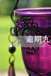 逾期九次金额20元
