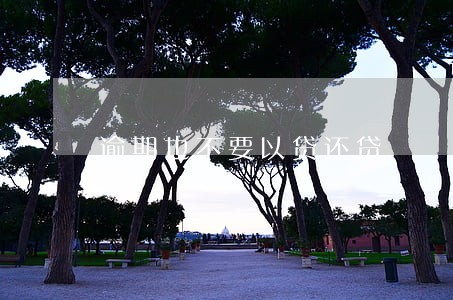 逾期也不要以贷还贷 逾期也不要以贷还贷