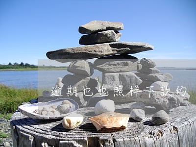 逾期也也照样下款的 逾期也也照样下款的