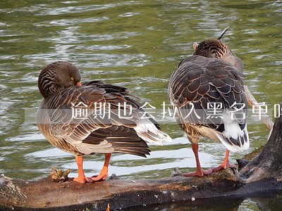逾期也会拉入黑名单吗 逾期也会拉入黑名单吗
