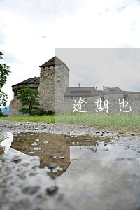逾期也可以下的口子 逾期也可以下的口子