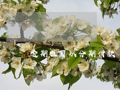 逾期也可以分期付款 逾期也可以分期付款