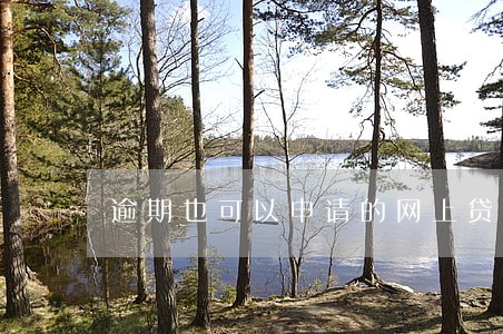 逾期也可以申请的网上贷款 逾期也可以申请的网上贷款
