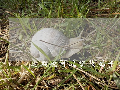 逾期也可以贷款吗平安 逾期也可以贷款吗平安