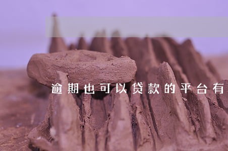 逾期也可以贷款的平台有哪些