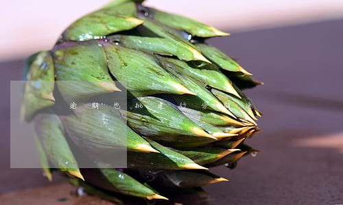 逾期也批建行分期通 逾期也批建行分期通