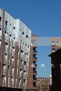 逾期也算违约 逾期也算违约
