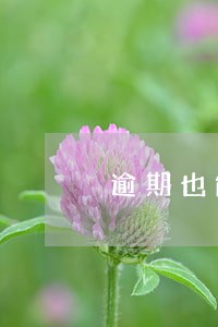 逾期也能下卡的银行 逾期也能下卡的银行