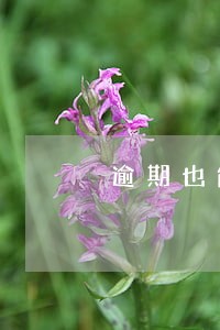 逾期也能下款的714 逾期也能下款的714