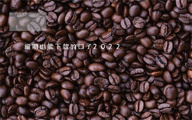 逾期也能下款的口子2022