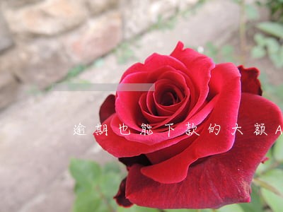 逾期也能下款的大额APP
