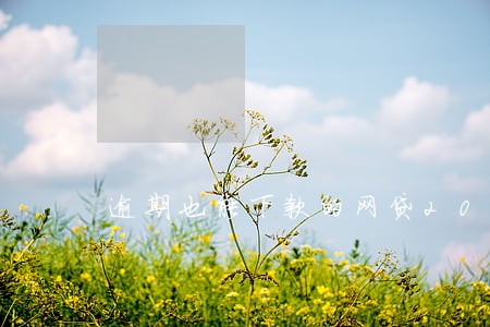 逾期也能下款的网贷2022