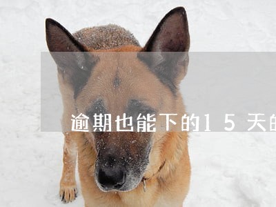 逾期也能下的15天的口子 逾期也能下的15天的口子