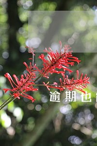 逾期也能下的短期平台 逾期也能下的短期平台