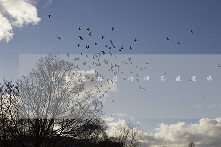 逾期也能临时调高额度吗 逾期也能临时调高额度吗