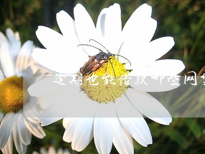 逾期也能借款哪些网贷 逾期也能借款哪些网贷