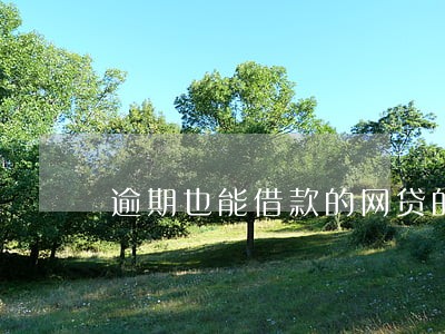 逾期也能借款的网贷的 逾期也能借款的网贷的